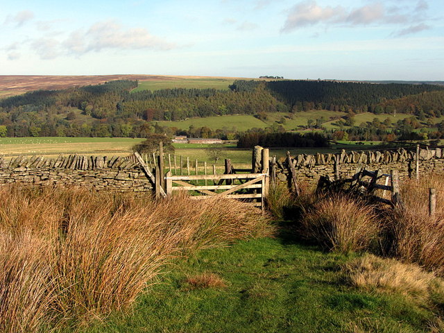 Gate on boundary of Buckshott Fell