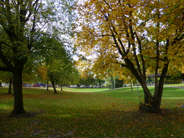 Autumnal scene, The Grange, Omagh