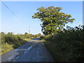 Road near Green Acres