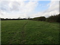 Field-side Path near Thimbleby Grange