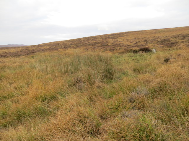 Remains of a hut circle on the moor above Dalvina Lodge Syre