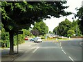 Traffic Island, Longdales Road