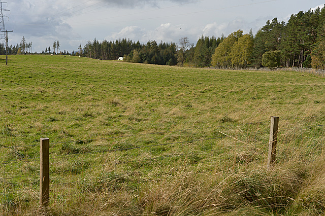 Field west of Feshiebridge