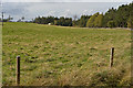 NH8404 : Field west of Feshiebridge by Nigel Brown