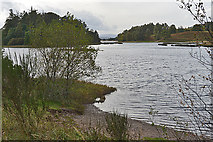 NH8305 : Loch Insh by Nigel Brown