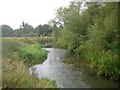 SP8041 : River Great Ouse between Cosgrove and Wolverton by Nigel Cox