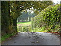 Along the track to Hollybush Farm