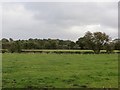 Field, Dudleston Heath