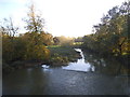 The River Mole at Cobham