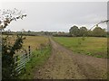 Cow path, Old Hardwick