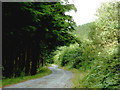 SN7664 : Forestry road south-east of Strata Florida, Ceredigion by Roger  Kidd