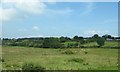 Rough grazing on reclaimed bogland west of Camlough