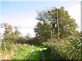 Access road to Horse Fen Mill Cottage