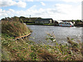 View across the River Thurne