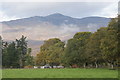 Fields and trees east of Struy Lodge