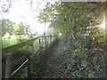 Path from Ockham Lane to Old Lane, Hatchford End