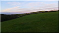 Fields near Bossiney