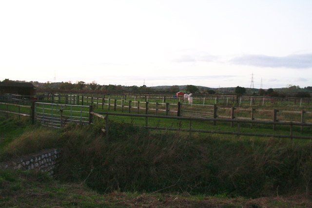Paddocks between Rundell Dyke and the railway