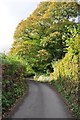 West Somerset : Marsh Hill