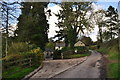 West Somerset : Country Lane