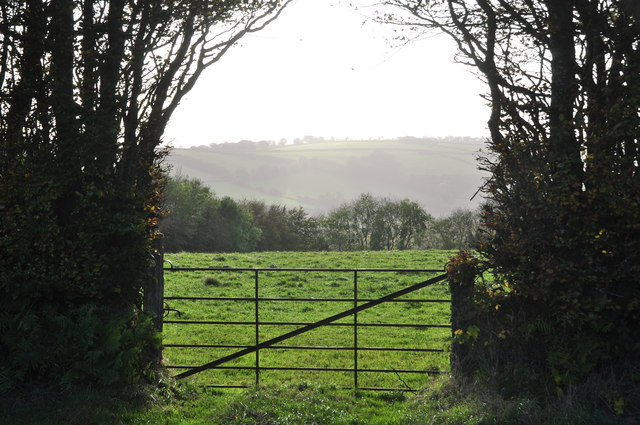 West Somerset : Grassy Field & Gate