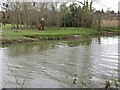 SP2965 : Floodmeadow, River Avon by Emscote Gardens, Warwick 2014, March 18, 16:25 by Robin Stott