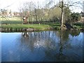 SP2965 : Floodmeadow, River Avon by Emscote Gardens, Warwick 2014, March 23, 16:46 by Robin Stott