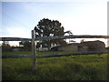 Farm on Long Reach, Ockham