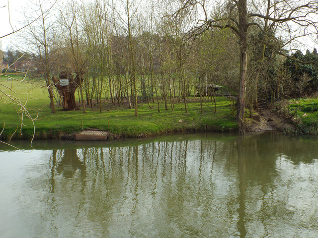 Floodmeadow, River Avon by Emscote Gardens, Warwick 2014, March 30, 12:12