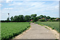 Bread Lane heads north