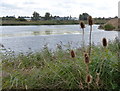 Lake near Watermead Country Park North