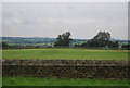 Cricket pitch, Burnt Yates