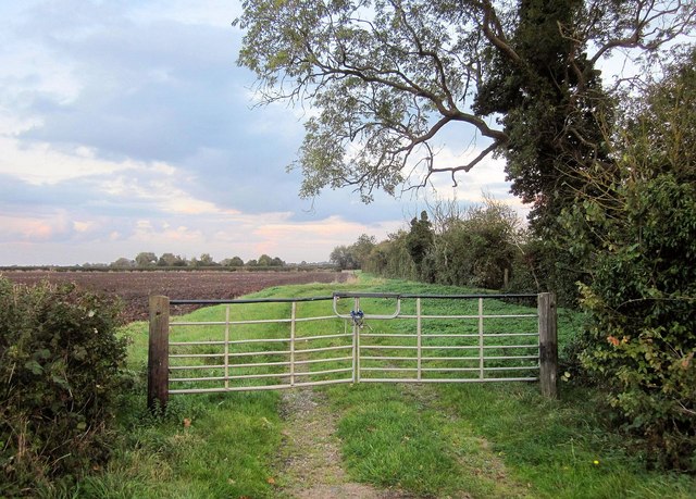 Field near Granby Hill