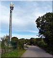 Mobile phone mast along Meadow Lane