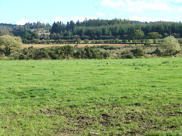 Fields at Tiglin