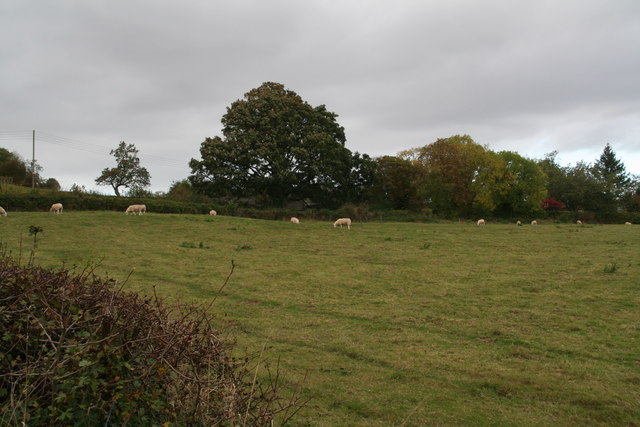 Grassland by the road into Goverton
