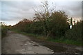 To the River Trent and Trent Valley Way, from the road south of Fiskerton