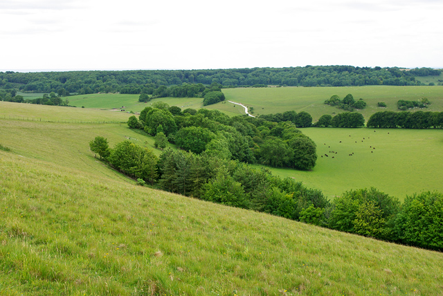 View south-west from Blackpatch Hill