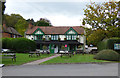 Holmbury St. Mary:  The 