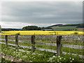 Farmland near Edzell