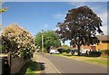 Wessex Road, Bulbridge