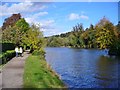 Maidenhead - Thames Path