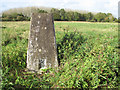 Triangulation pillar on Metfield Common