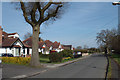 Bungalows, north side of Barkers Lane, Inkford
