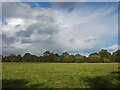 Fields near Chobham