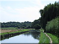 The New River at Bury Green (3)