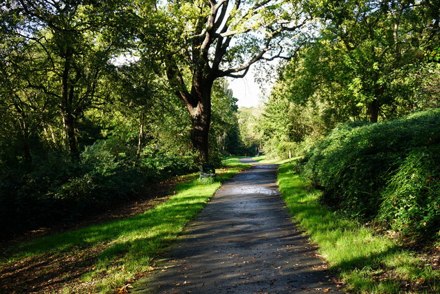 Path through Maryon Wilson Park © Bill Boaden cc-by-sa/2.0 :: Geograph ...