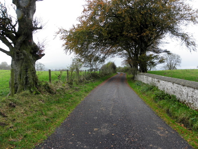 Lisnafin Road, Ballymullarty
