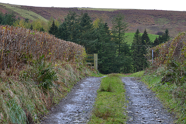 Lane and gate leading to Trafle farm