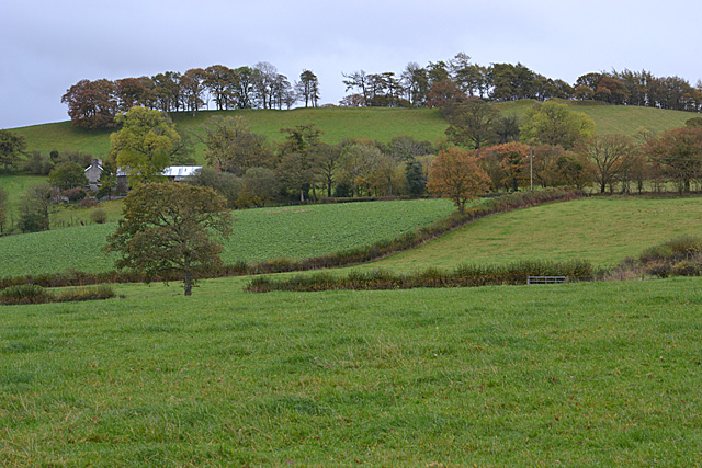 Fields west of Cil-llwyn farm